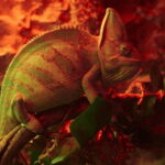 Mexico City: Fast Pass Ticket to Acuarium Inbursa - Visitor Experience and Authenticity