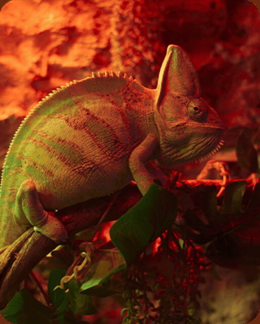 Mexico City: Fast Pass Ticket to Acuarium Inbursa - Visitor Experience and Authenticity