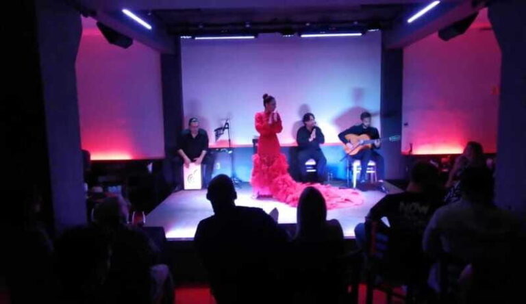 Mexico City: Flamenco Tablao Live Show & dinner - Practical Details that Matter