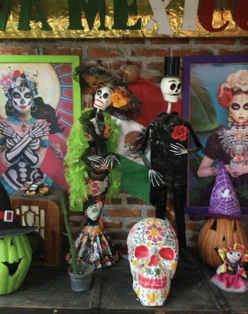 Mexico City: Frida Kahlo, Coyoacán, and Xochimilco Day Tour - Practical Considerations