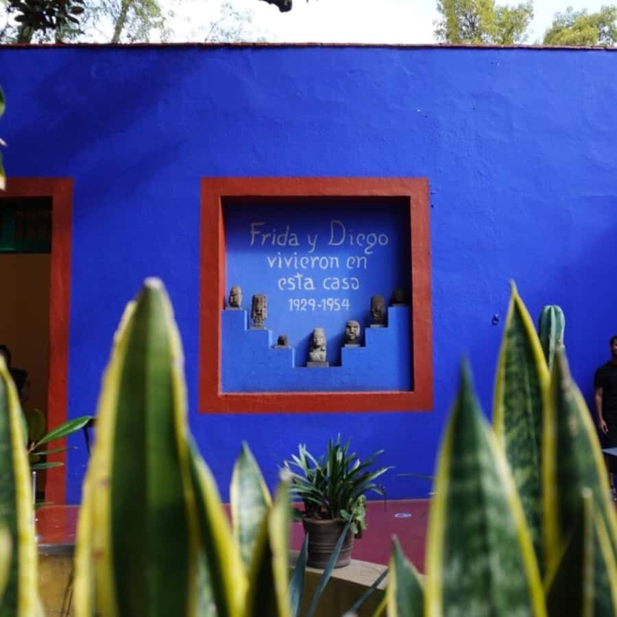 Mexico City: Frida Kahlo Museum Tour - What Do Real Travelers Say?