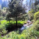 Mexico City: Guided Hike in the Dinamos Forest - Who Will Love This Experience?