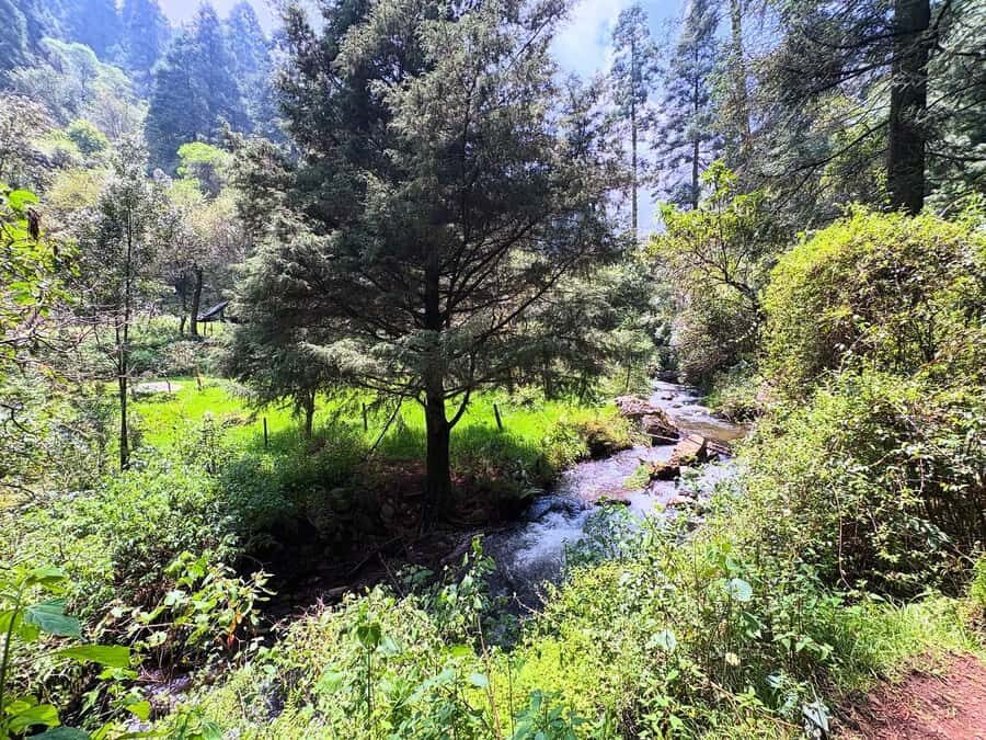 Mexico City: Guided Hike in the Dinamos Forest - Who Will Love This Experience?