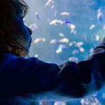 Mexico City: Inbursa Aquarium optional Round trip transfer - Tour Flow and Duration