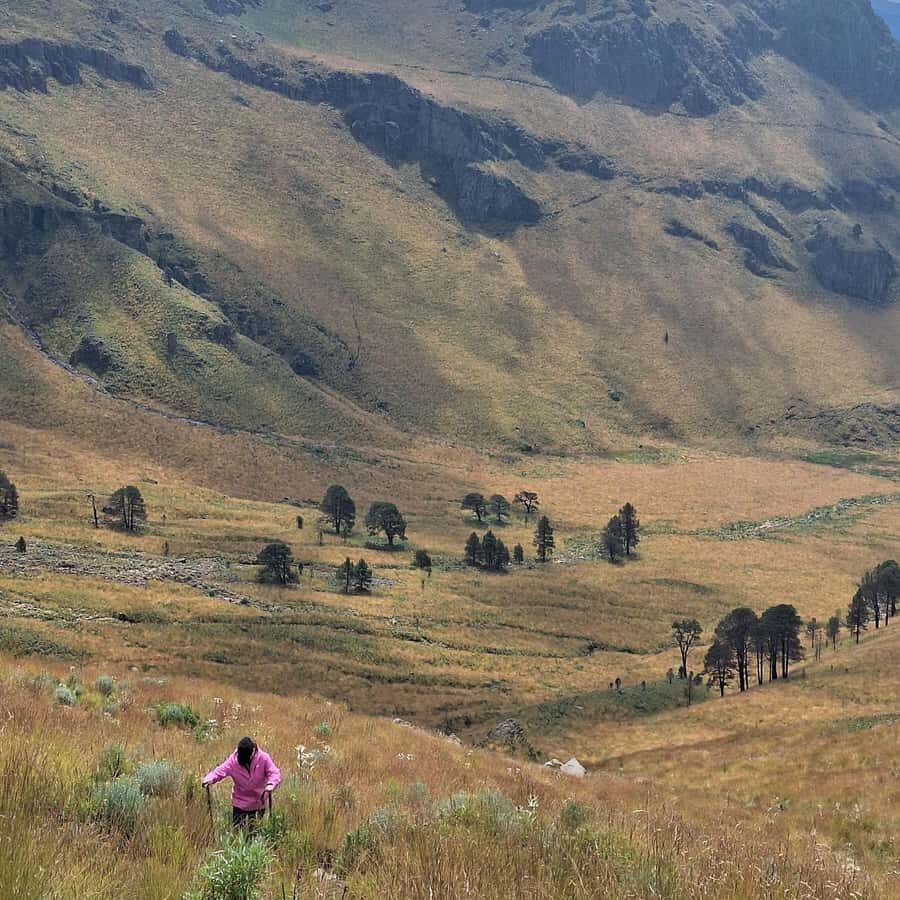 Mexico City: Mipulco Waterfalls Private Trekking Tour - Is This Tour Worth the Cost?