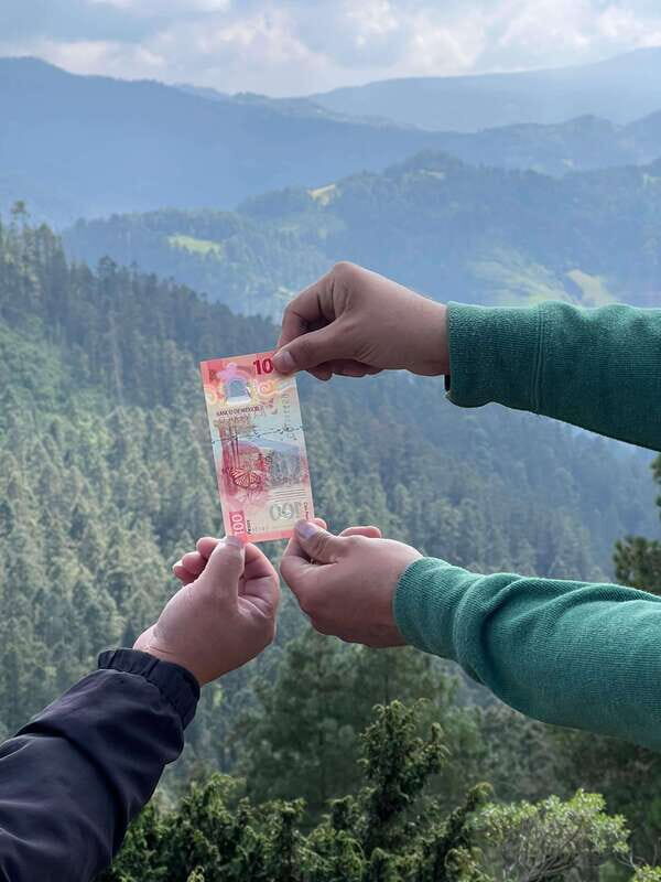 Mexico City: Monarch Butterfly Sanctuary Day Tour - FAQ: Common Questions About the Tour