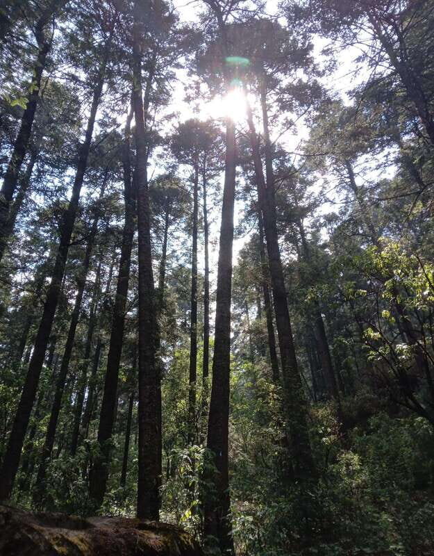 Mexico City: Morning Hiking at Mirador Coconetla - The Scenic Walk to Mirador Coconetla