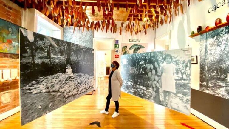 Mexico City: MUCHO Museum of Chocolate Entrance Ticket - Key Points