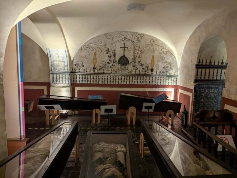 Mexico City: Museum of El Carmen Tour with Ticket - Who Will Enjoy This Tour?