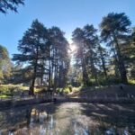 Mexico City: Nahualac Lagoon Private Hiking Tour - Who Will Love This Tour?