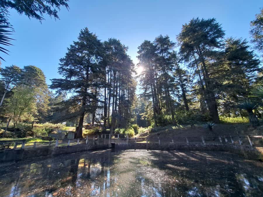 Mexico City: Nahualac Lagoon Private Hiking Tour - Who Will Love This Tour?