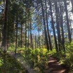 Mexico City: Nexcolango Lagoons Private Hiking Tour - Why This Tour Offers Great Value