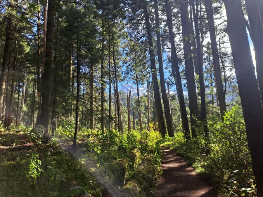 Mexico City: Nexcolango Lagoons Private Hiking Tour - Why This Tour Offers Great Value