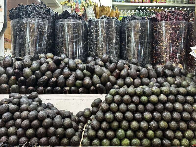 Mexico City: Old Town Food Tour of 7 Tastings & Secret Dish - Why This Tour Offers Great Value