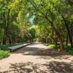 Mexico City: Private Bike Tour of Chapultepec Forest - Exploring the Route: A Walkthrough of the Highlights