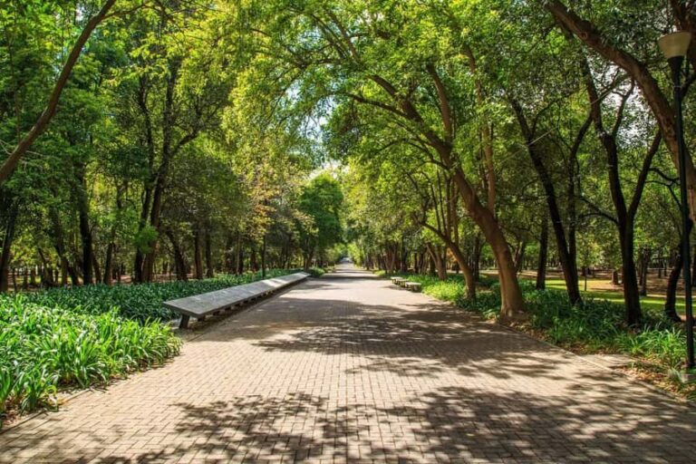 Mexico City: Private Bike Tour of Chapultepec Forest - Exploring the Route: A Walkthrough of the Highlights