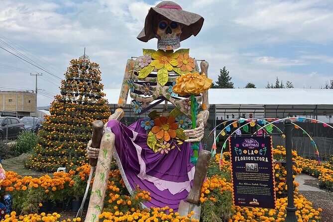 Mexico City Private Day of the Dead Tour Valle de Catrinas - A Detailed Look at the Tour Experience