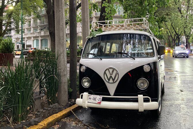 Mexico City PRIVATE Lucha Libre, mezcal & Tacos on a 1975 VW Bus - What’s Included and What’s Not