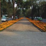 Mexico City: Roma & Condesa Private & Personalized Walking Tour - The Highlights of Your Personalized Itinerary