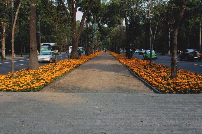 Mexico City: Roma & Condesa Private & Personalized Walking Tour - The Highlights of Your Personalized Itinerary