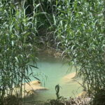 Mexico City: Taxco Thousand Waterfalls - Natural Water Park - Arriving at Thousand Waterfalls Natural Park
