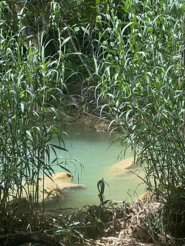 Mexico City: Taxco Thousand Waterfalls - Natural Water Park - Arriving at Thousand Waterfalls Natural Park