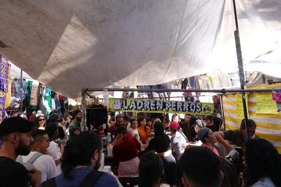 Mexico City: Tepito the Heart of Mexican Culture Guided Tour - Deep Dive into the Highlights