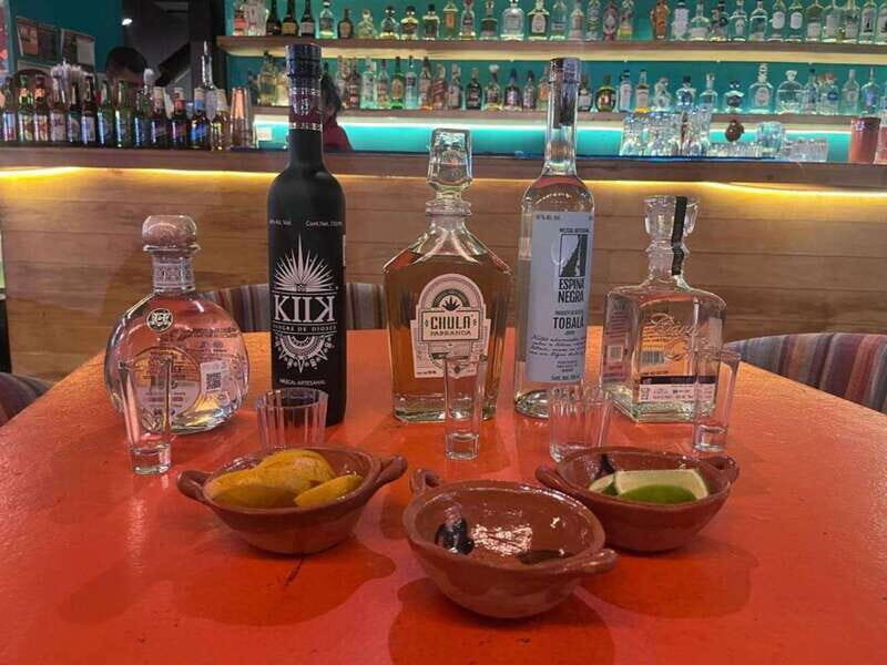 Mexico City: Tequila and Mezcal Museum Tour with Tasting - The Itinerary Breakdown