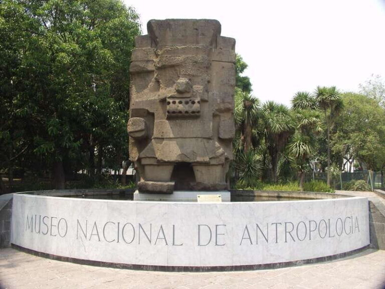 Mexico City tour & Anthropology Museum Tour - What Travelers Say