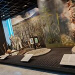 Mexico City: Vegan/Veggie Lucha Libre, Cantinas and Mariachi - Practical Details and Tips