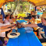 Mexico City: Xochimilco Trajinera Party, Mariachi & Drinks - Why This Tour Works Well