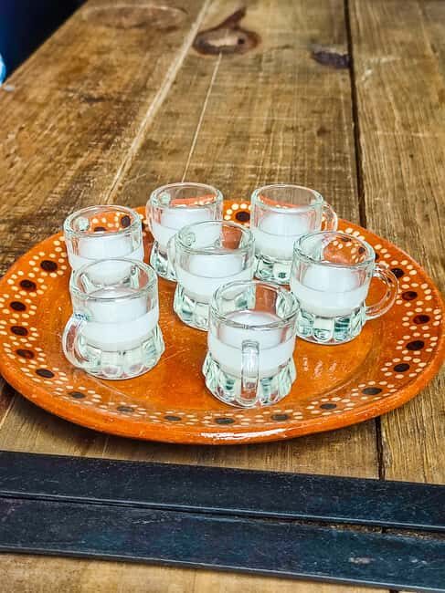 Mexico Off The Beaten Track/ Street Food Bike Tour - A Detailed Look at the Experience