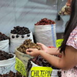 Mexico: Salsa Making Class in a Market with a Chef - The Art of Salsa Making