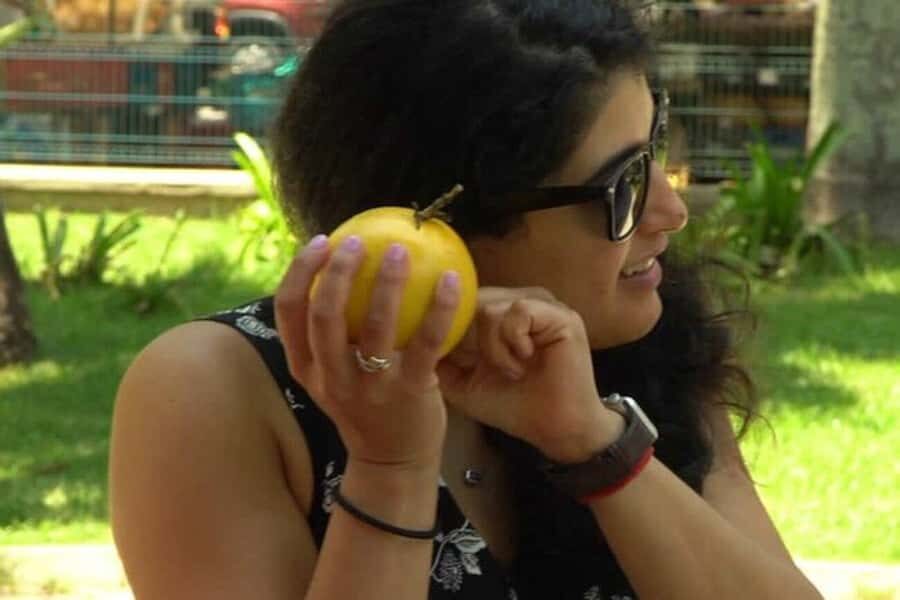 Mexico's Tropical Fruit Guided Tasting in Mexico City - Key Points