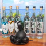 Mezcal and Tequila Tasting Room - The Itinerary in Detail