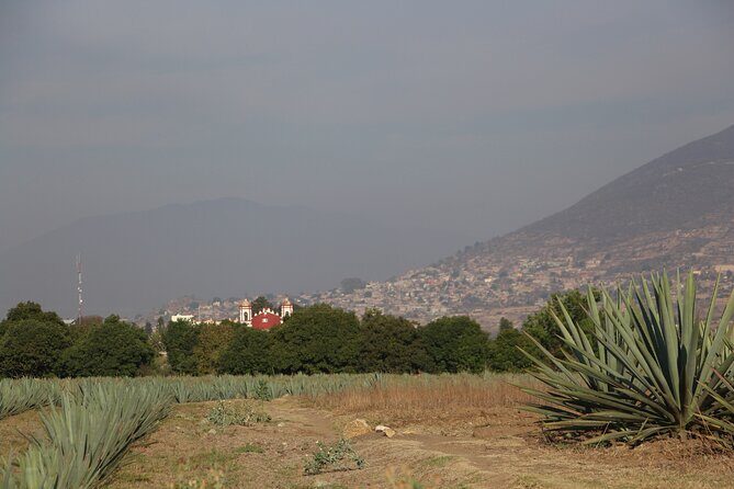 Mezcal Culture Cycling Tour in a Zapotec Village - Practical Details and What to Expect