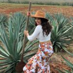 Mezcal Food Tasting Tour with Lunch Included - Visiting the Mezcal Factory: From Plant to Bottle