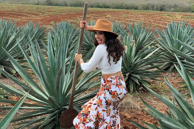 Mezcal Food Tasting Tour with Lunch Included - Visiting the Mezcal Factory: From Plant to Bottle
