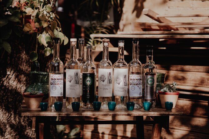 Mezcal & Mole by a Certified Sommelier - The Sum Up