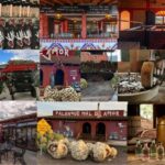 Mezcal Oaxaca: Tour, Gastronomy and Mezcal Tasting - Who Should Sign Up?