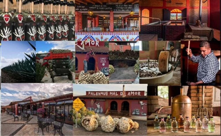 Mezcal Oaxaca: Tour, Gastronomy and Mezcal Tasting - Who Should Sign Up?