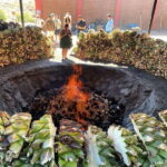 Mezcal Tour Oaxaca - Visiting the Distilleries: Old Meets New