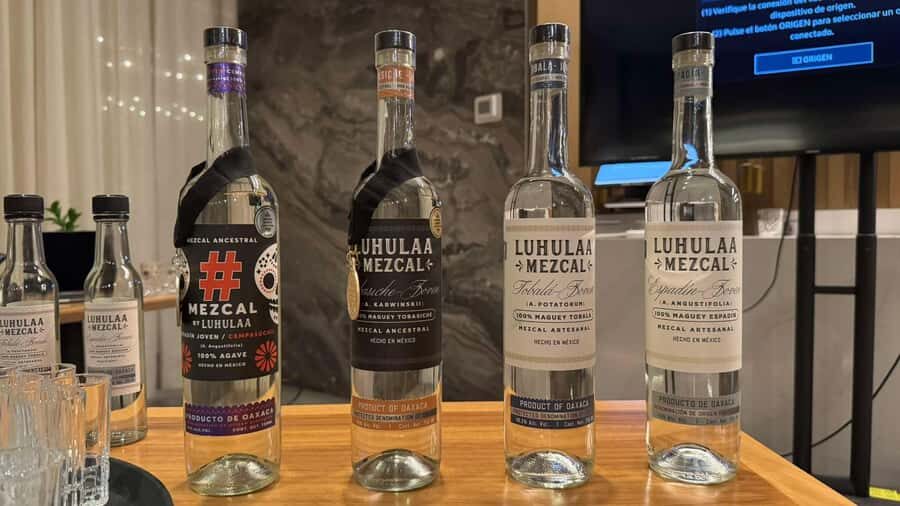 Mezcales tradicionales: Experiencia de Sabores con Historia - Who Will Love This Experience?