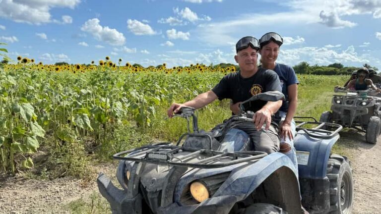 Miami ATV and Horseback Riding Combo Tour - What to Expect During the Tour