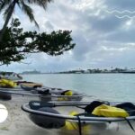 Miami Beach: Clear Kayak Tour or LED Glow Kayak Experience - Final Thoughts: Who Should Consider This Tour?