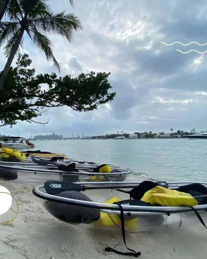 Miami Beach: Clear Kayak Tour or LED Glow Kayak Experience - Final Thoughts: Who Should Consider This Tour?