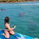 Miami Biscayne Bay Boat Tour with Sandbar Experience. - Final Thoughts: Is This Tour Right for You?