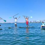 Miami Biscayne Bay Sunset Paddle - The Sum Up: Who’s It Best For?