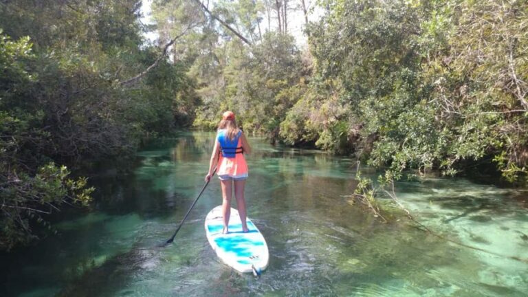 Miami: Biscayne Bay Ultimate Boat Tour with Kayak Experience - Raccoon Island: Wildlife and Water Activities