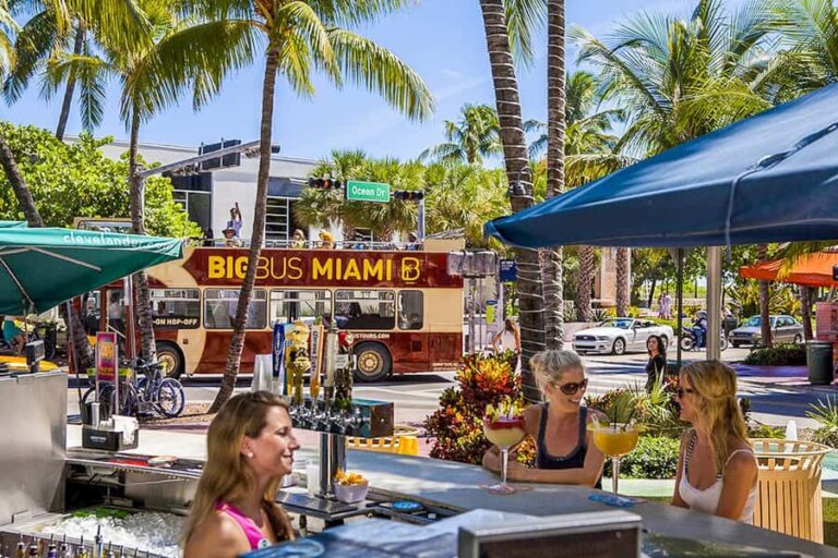 Miami Bundle: Everglades, Boat Cruise & Open-Top Bus Tour - What’s the Verdict on Value?